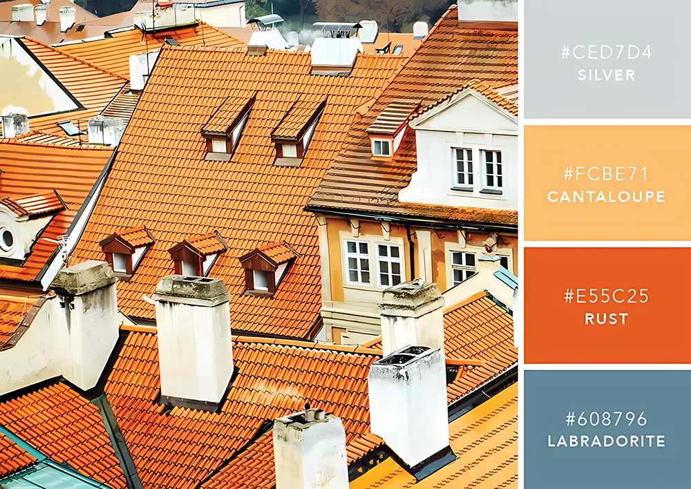 微信图片_20251121113641_119_86 微信图片_20251121113641_119_86